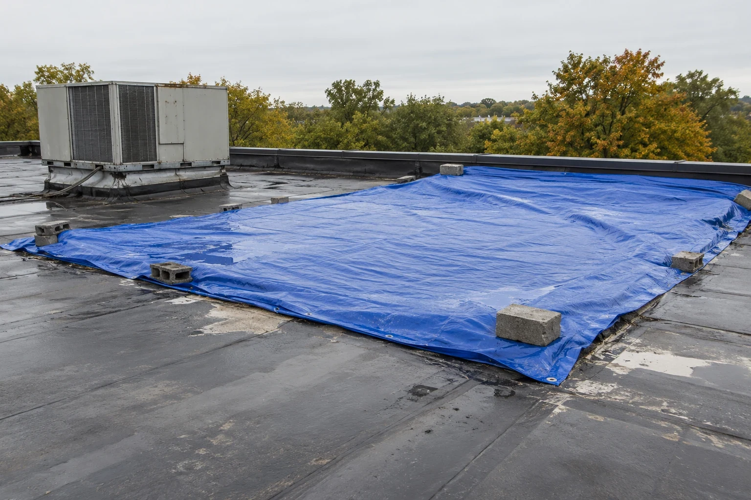 Emergency Commercial Roof Repair in Independence, MO Emergency Commercial Roof Repair in Independence, MO